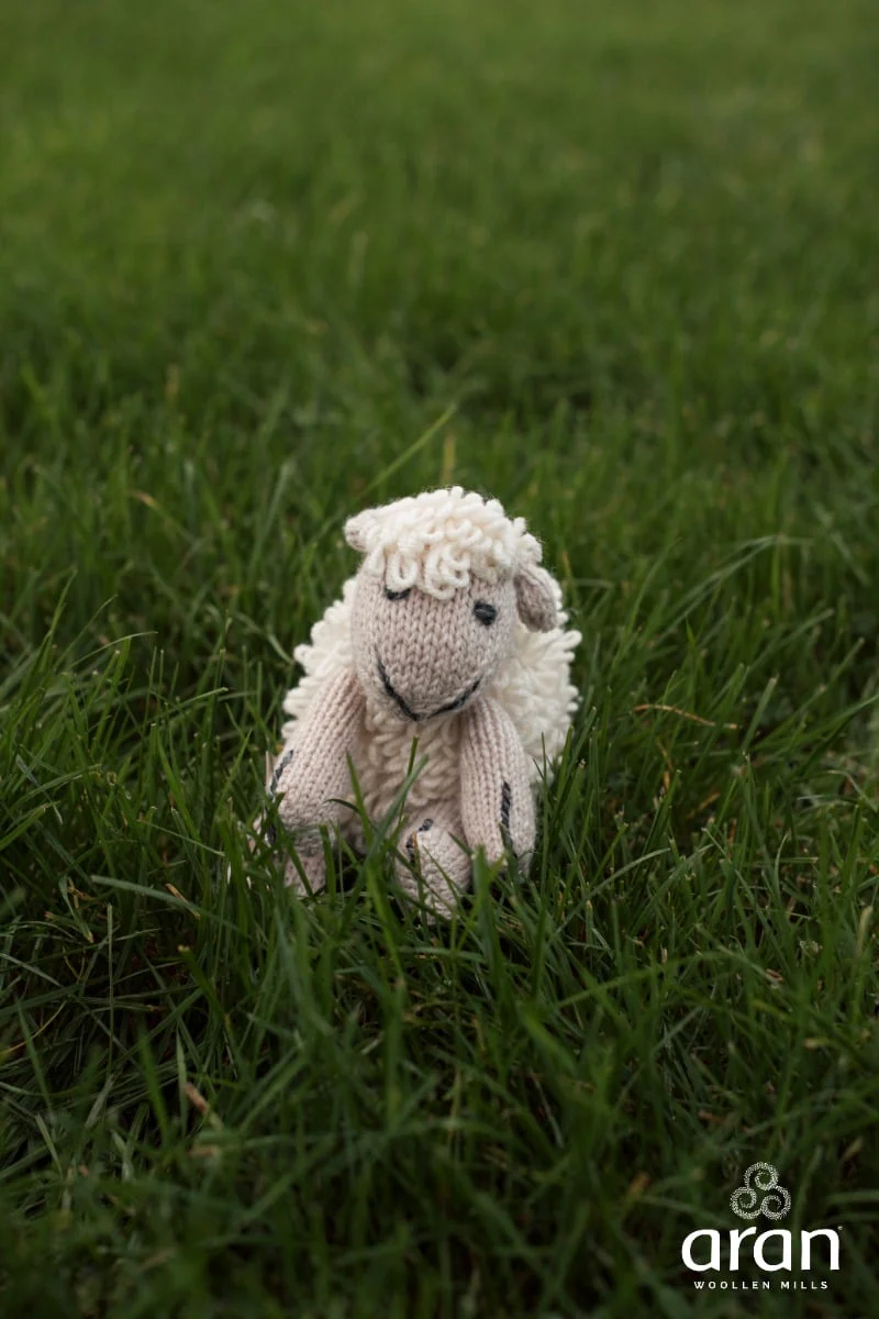 Shepley The Sheep Teddy - Image 2